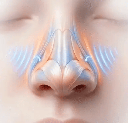 You already pinch your nose in the mirror. Here's why it never holds.