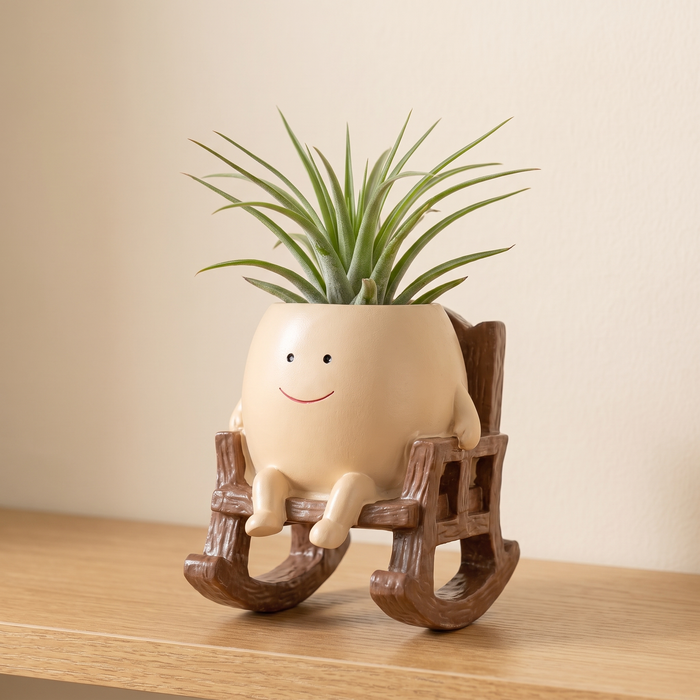 Air plant